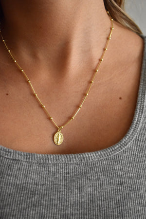 Collar Protección